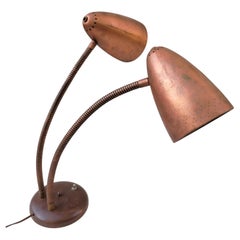 Early Gooseneck Bullet Lamp in the manner of Kurt Versen