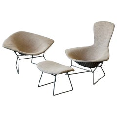 Early Harry Bertoia Bird / Diamond Chair Set