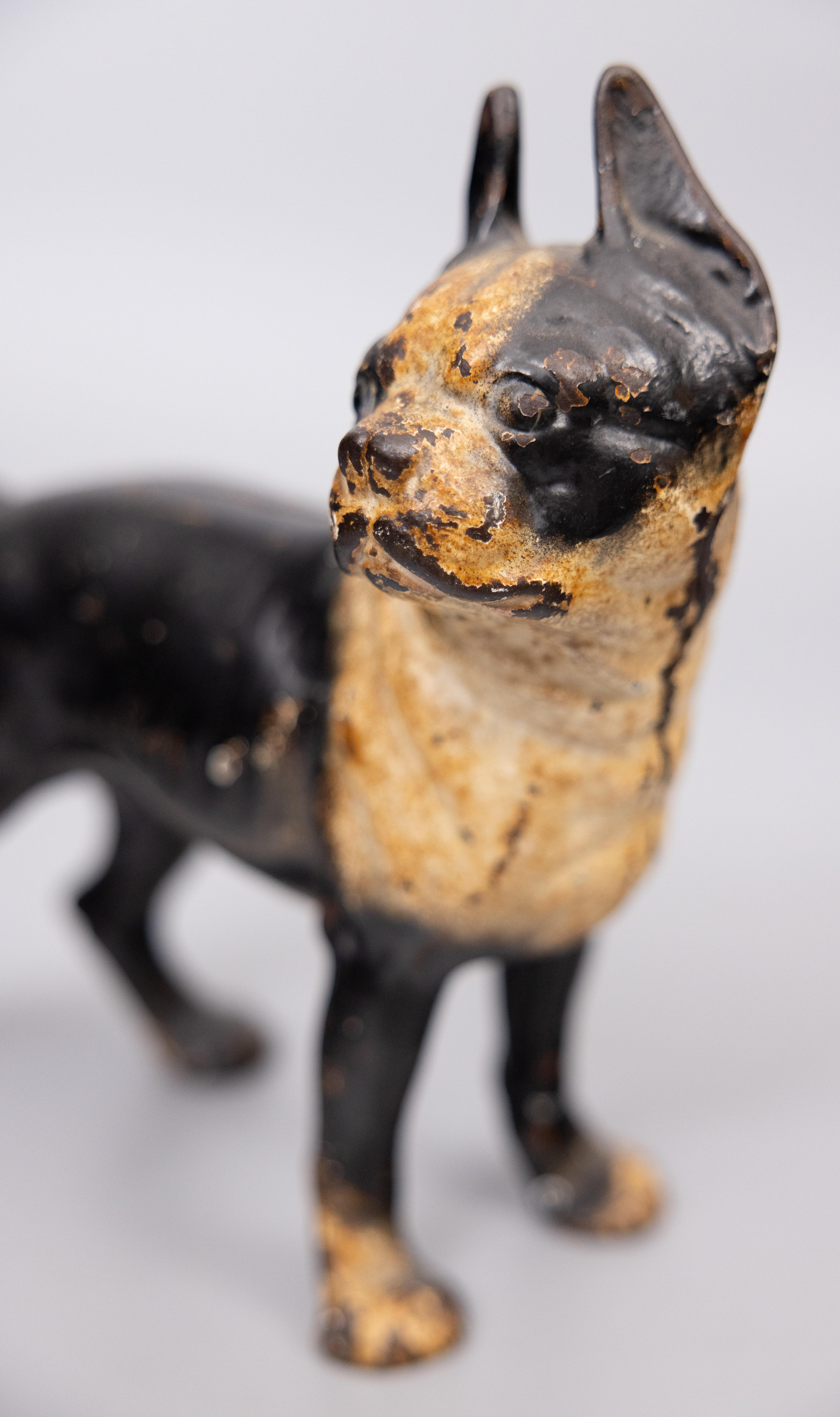 An original early 20th-century hubley hand painted heavy cast iron Boston Terrier dog door stop. This charming dog retains the original paint and would be perfect for the dog lover or collector.

Dimension
8.5