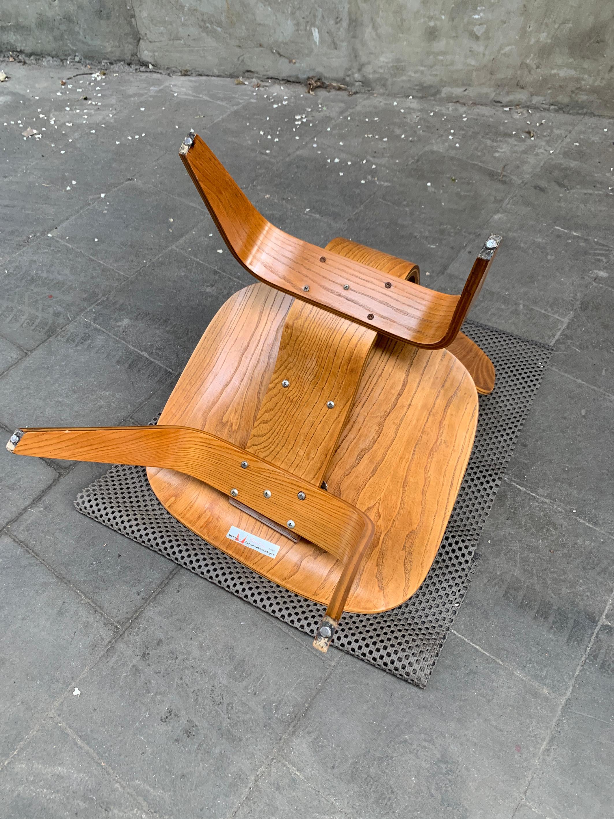 Early LCW Lounge Chair in Ash by Charles & Ray Eames, Herman Miller, 1950s 3