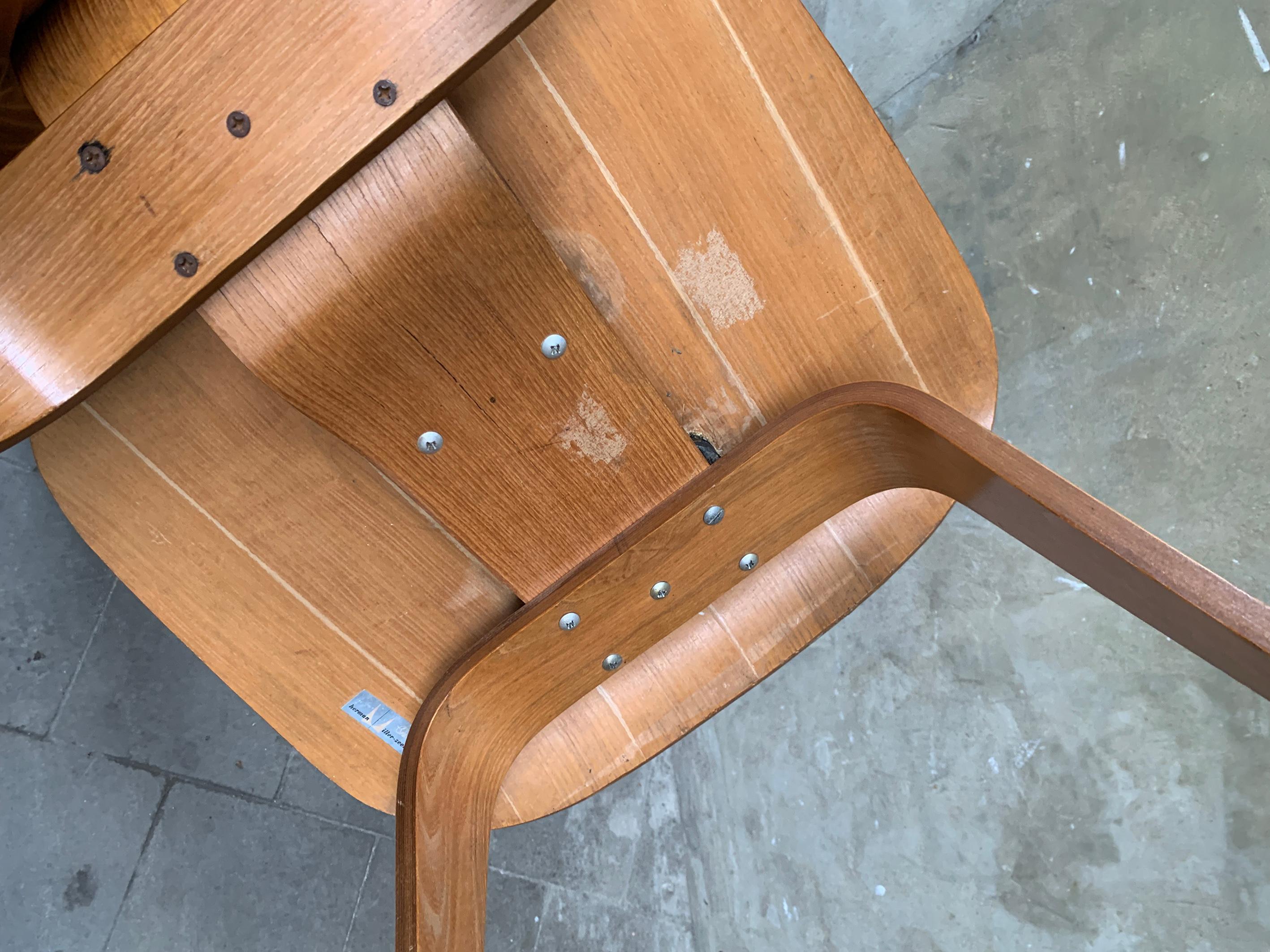 Early LCW Lounge Chair in Ash, Charles & Ray Eames Herman Miller / Evans 1940s in vendita 6