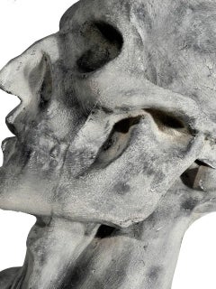 Représentation anatomique grandeur nature, Jean-Antoine Houdon