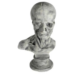 Muestra anatómica a tamaño natural, Jean Antoine Houdon
