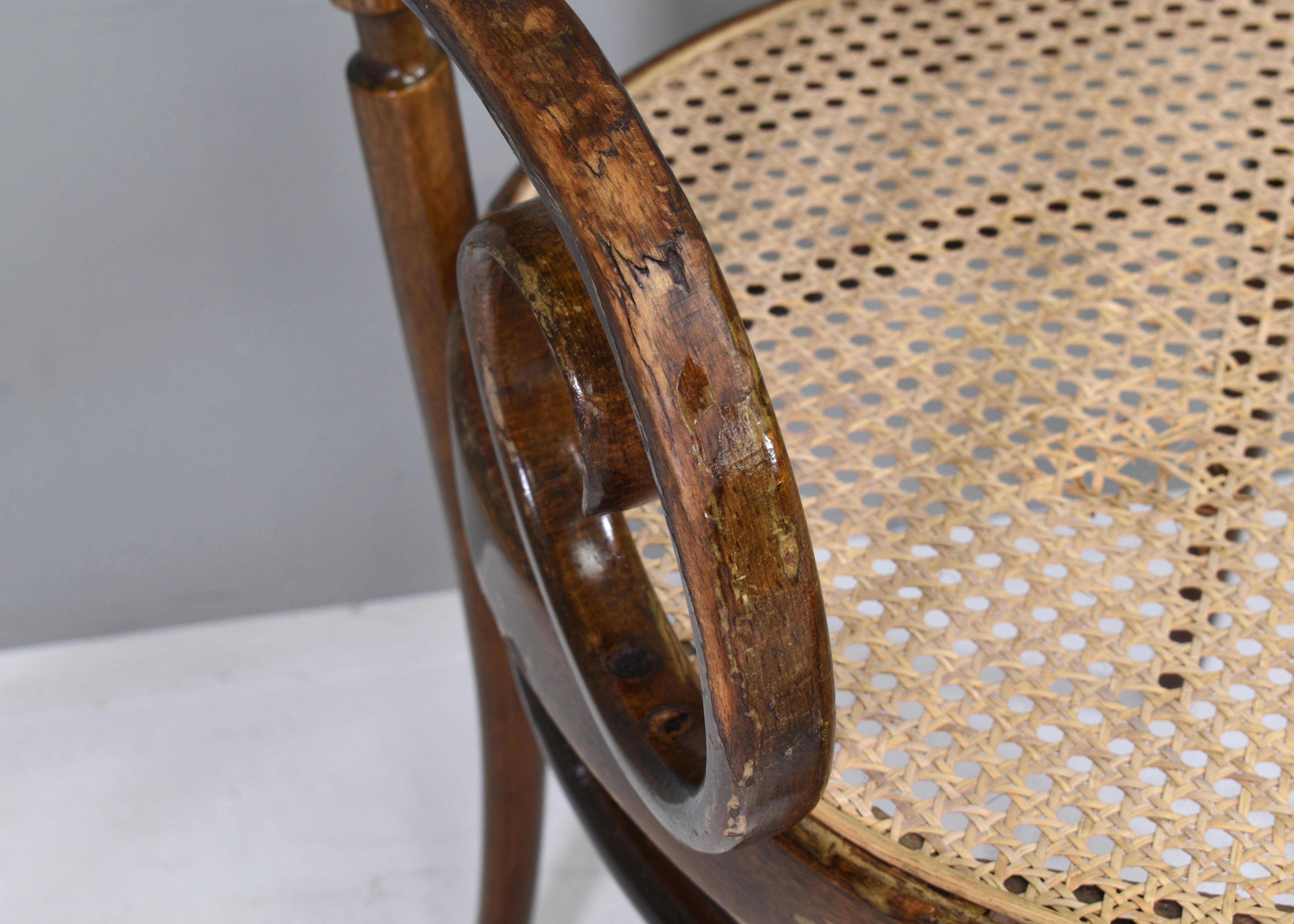 Early Michael Thonet N.17 Bistro Dining Armchairs in Bentwood and Cane - Austria 6