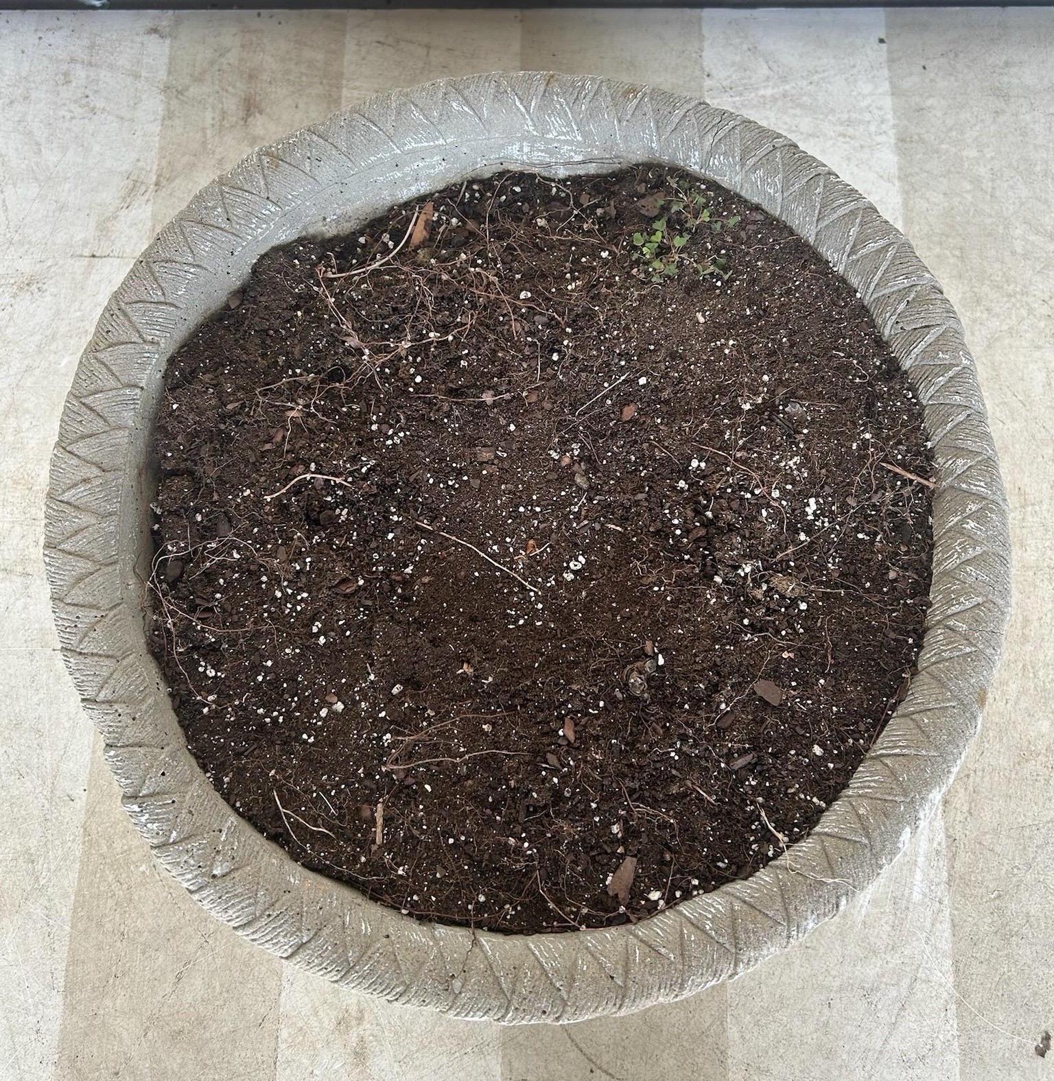Jardinière en pierre moulée en forme de panier du début du 20e siècle Bon état - En vente à Richmond, VA