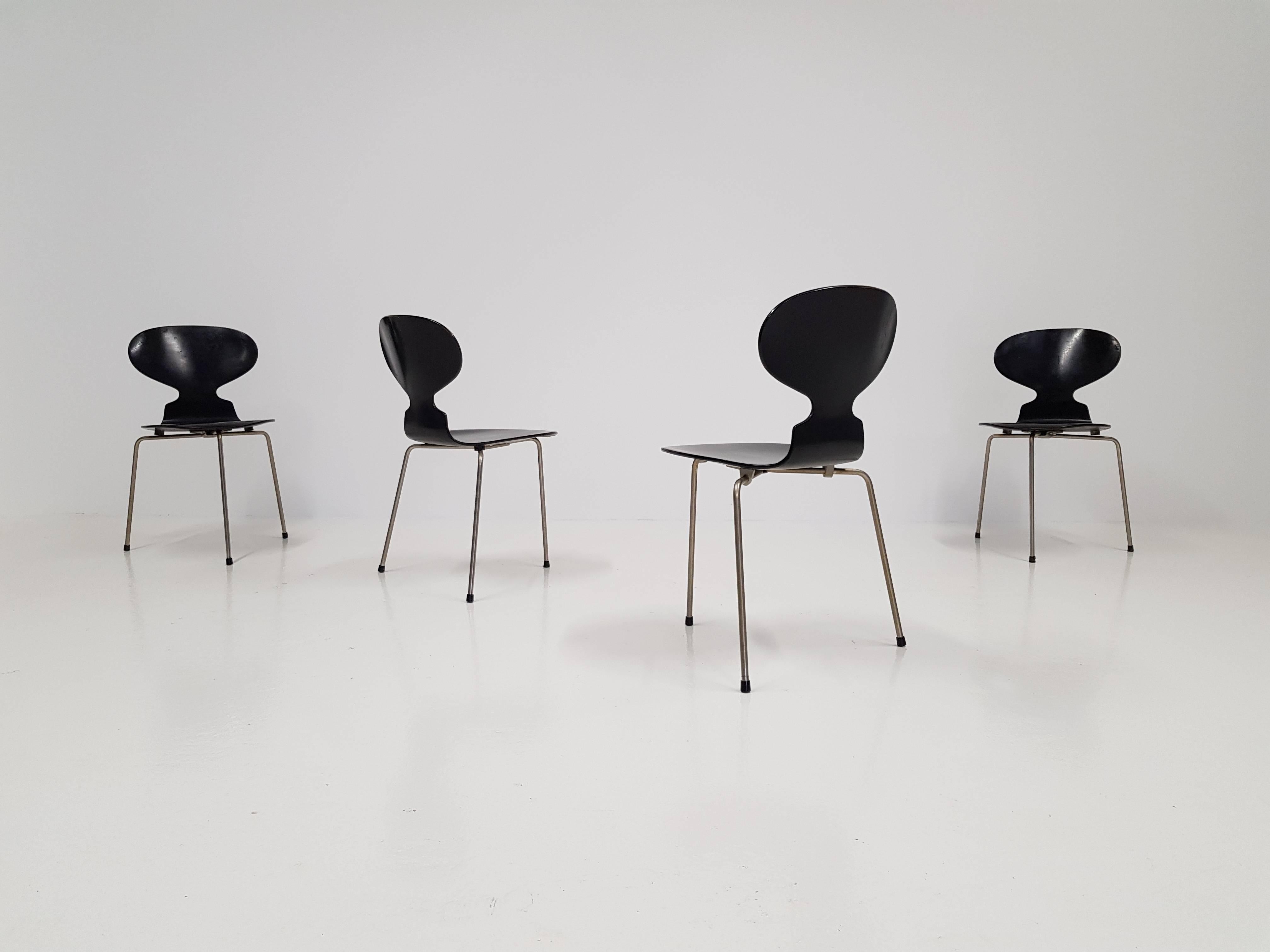 A set of iconic model 3100 'Ant' chairs by pivotal Danish designer Arne Jacobsen for Fritz Hansen. The 'Ant' chairs were designed 1952. This set consisting of black lacquered bent wood on a steel frame.

    
