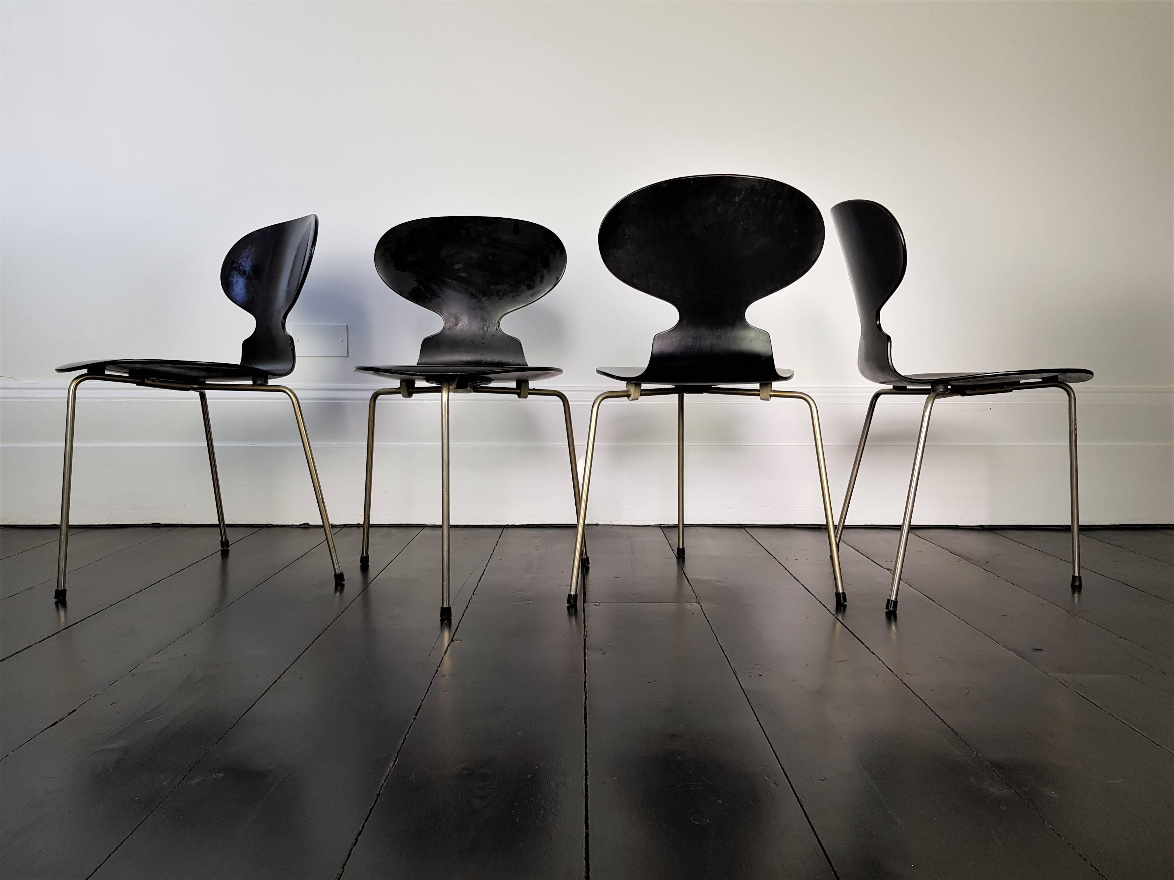 Mid-Century Modern Early Model 3100 'Ant' Chairs by Arne Jacobsen for Fritz Hansen Designed in 1952