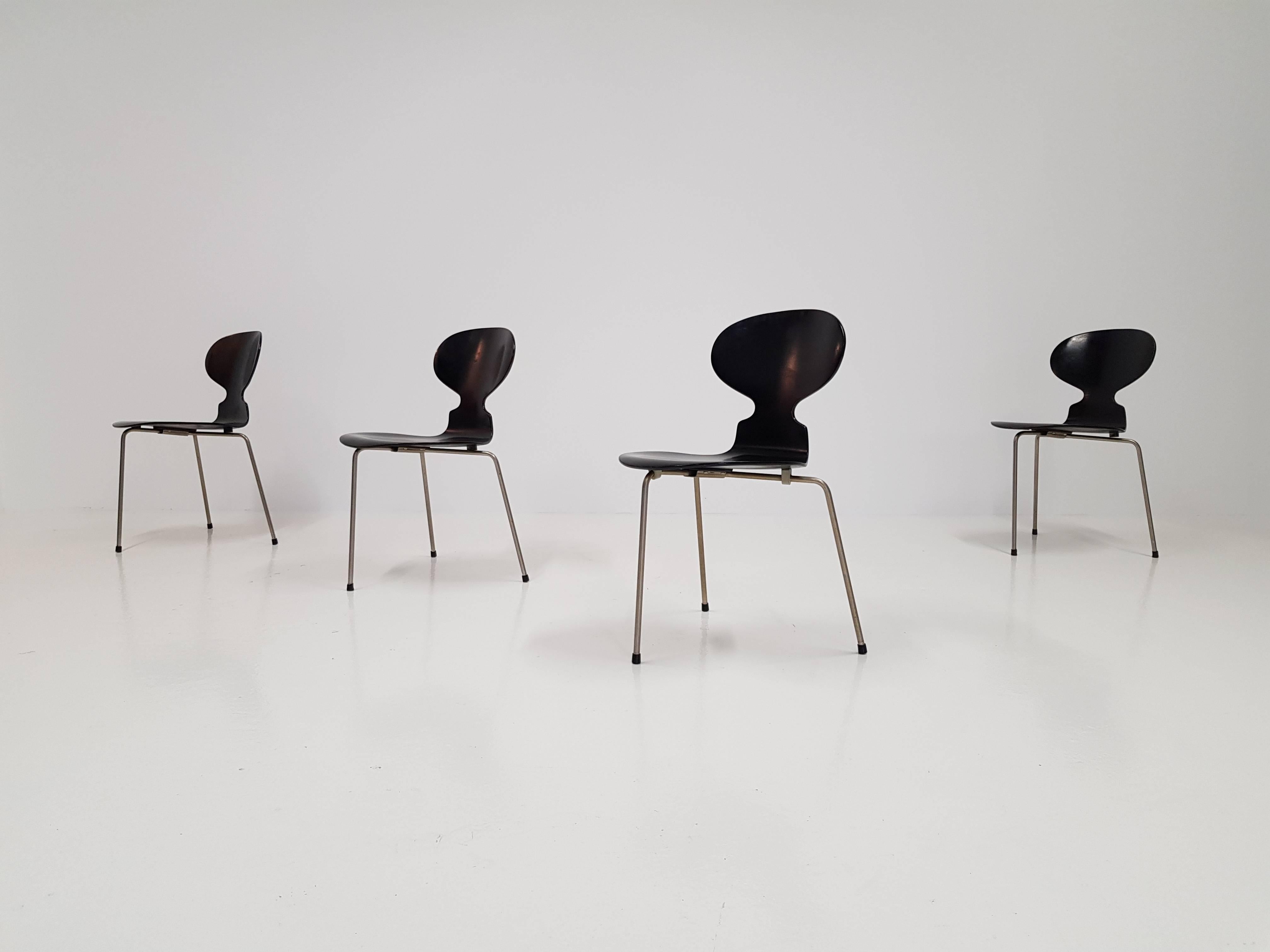 Lacquered Early Model 3100 'Ant' Chairs by Arne Jacobsen for Fritz Hansen Designed in 1952