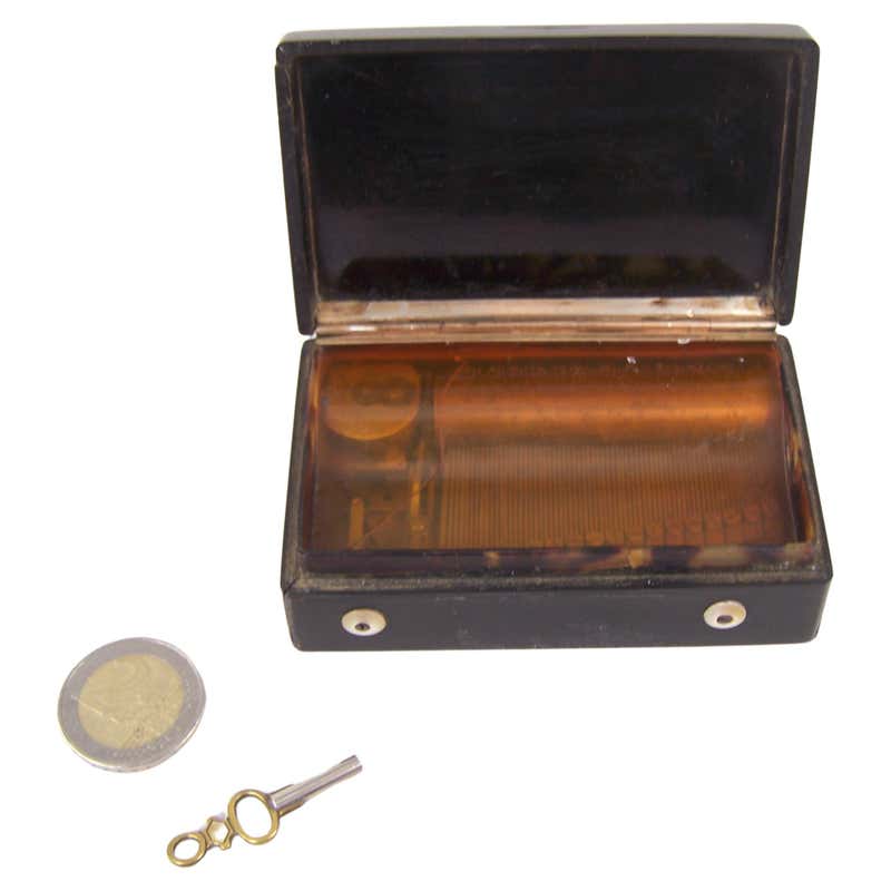 Tortoise Shell Boxes - 77 For Sale at 1stDibs | antique tortoise shell ...