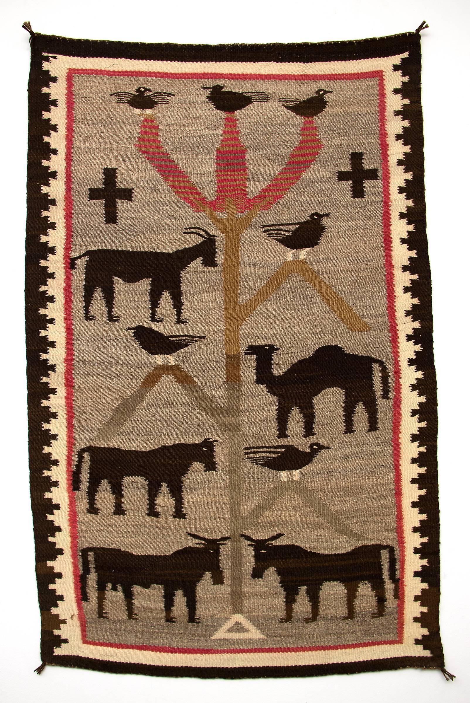 navajo tree of life rug for sale