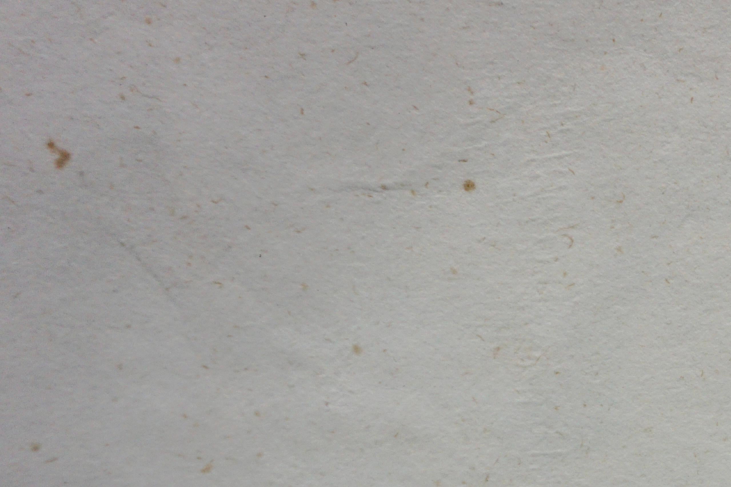 Gravure en couleurs du début du XIXe siècle d'un mur à Pompeii en vente 2