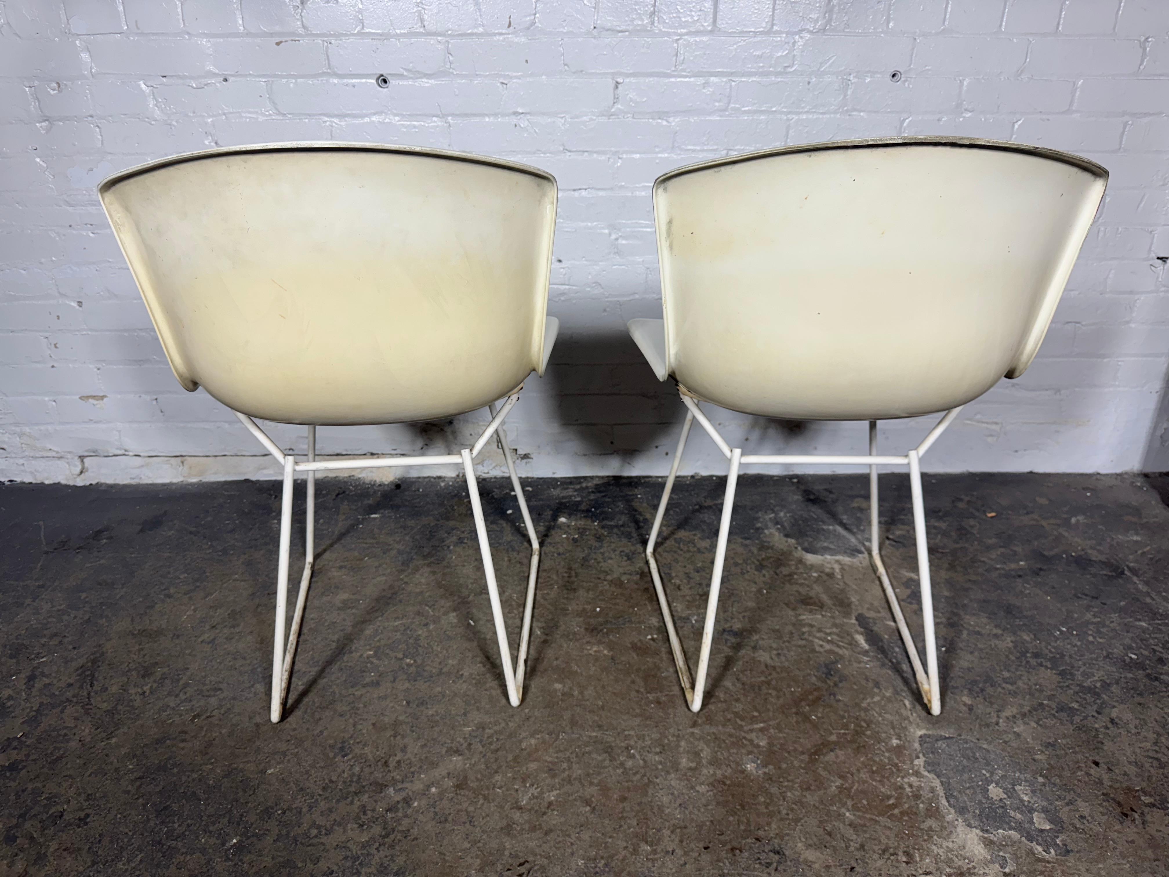 Mid-Century moderno Coppia di sedie a conchiglia in fibra di vetro modellata di Harry Bertoia per Knoll, Label in vendita