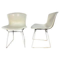 Paire de chaises d'appoint coquillage en fibre de verre moulée Harry Bertoia pour Knoll, étiqueté