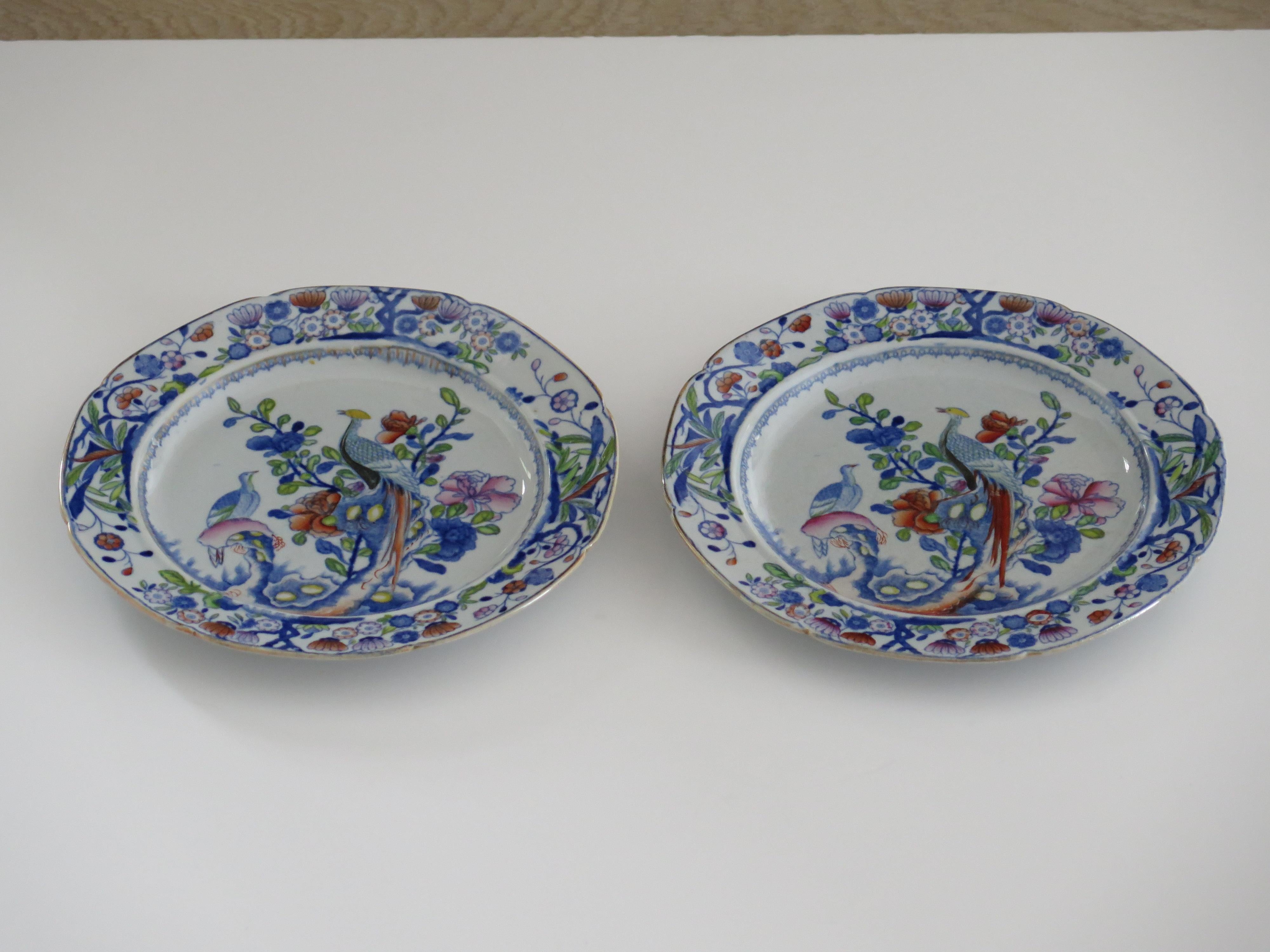 Chinoiserie Early PAIR Mason's Ironstone Side Plates in Oriental Pheasant Pattern, Ca 1818 For Sale