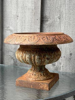 Early Pair of Small Cast Iron Pedestal Urns