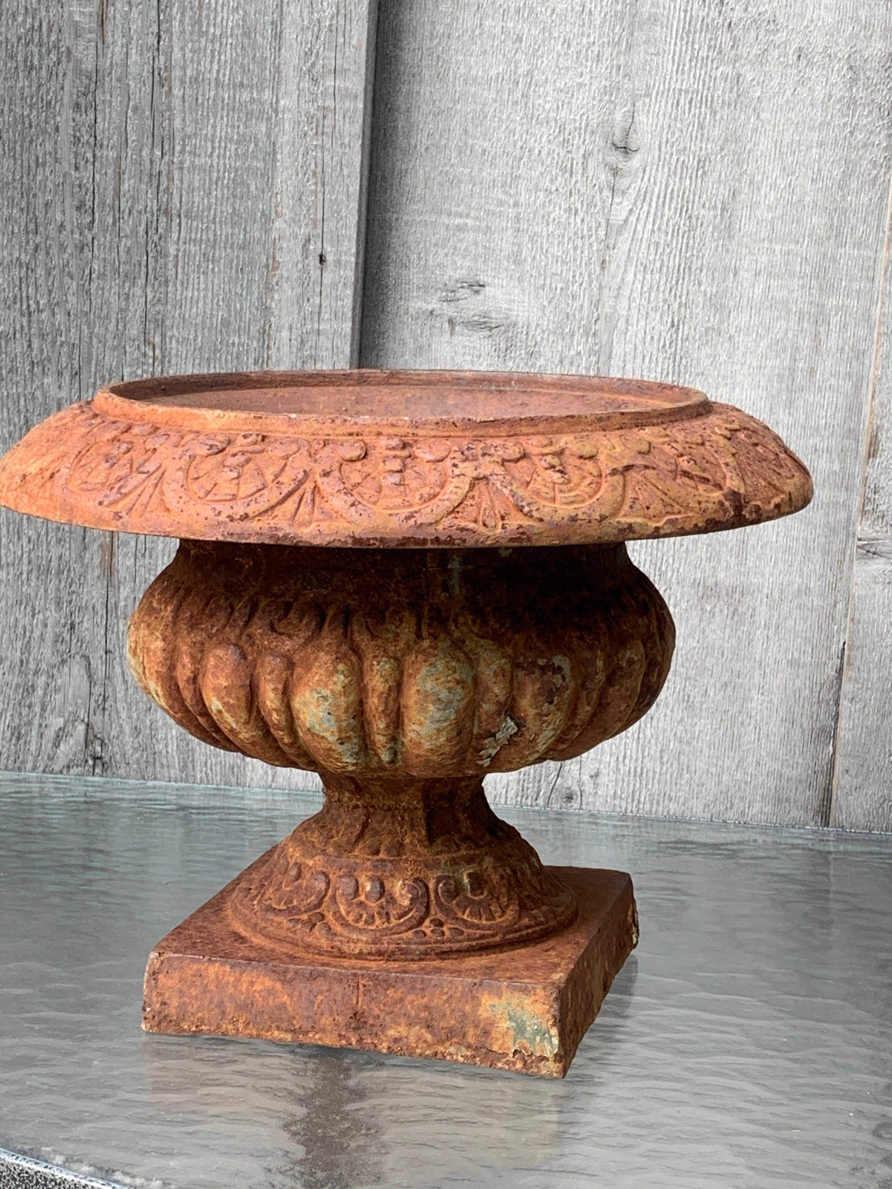 English Early Pair of Small Cast Iron Pedestal Urns For Sale