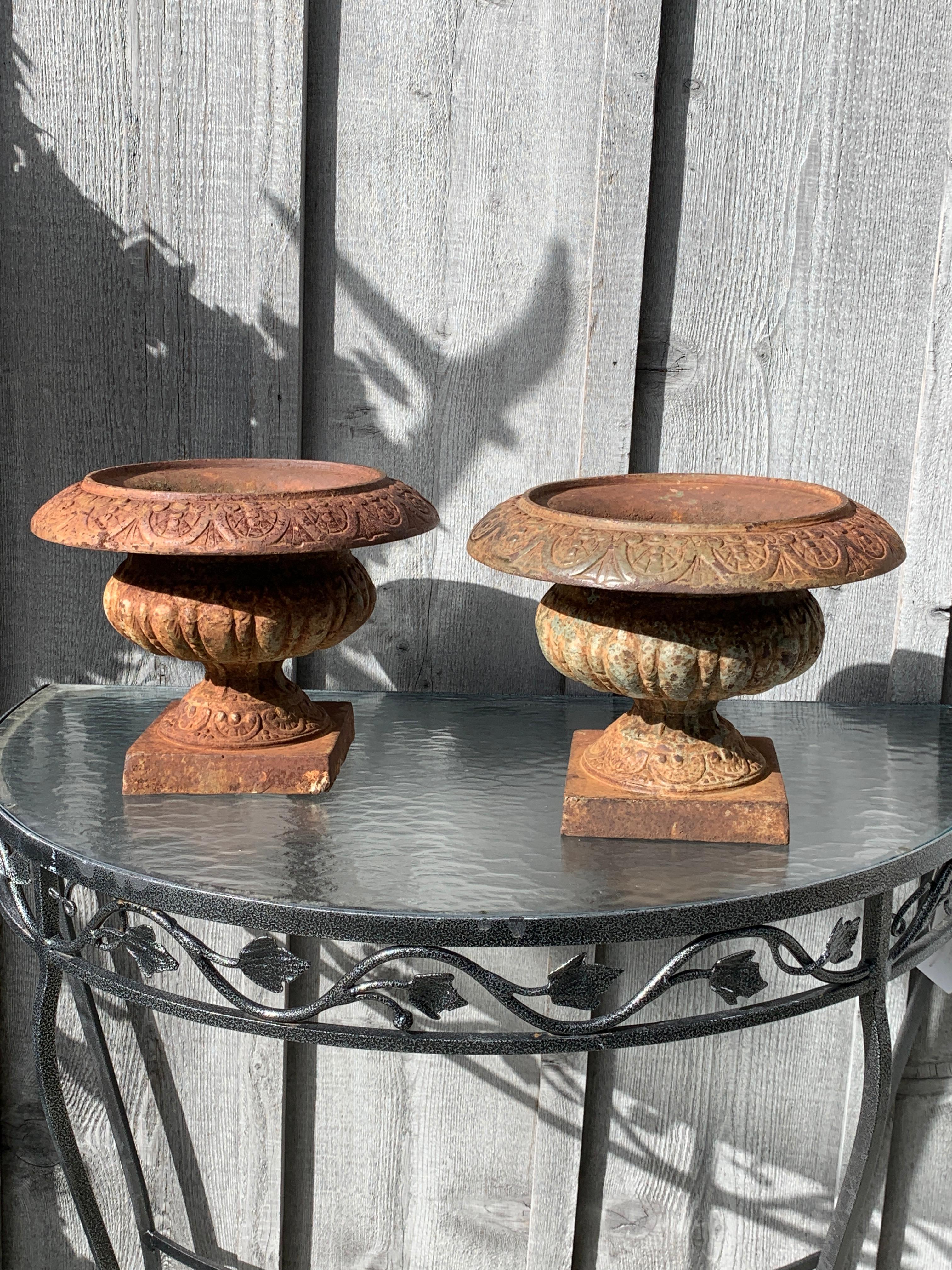 19th Century Early Pair of Small Cast Iron Pedestal Urns For Sale
