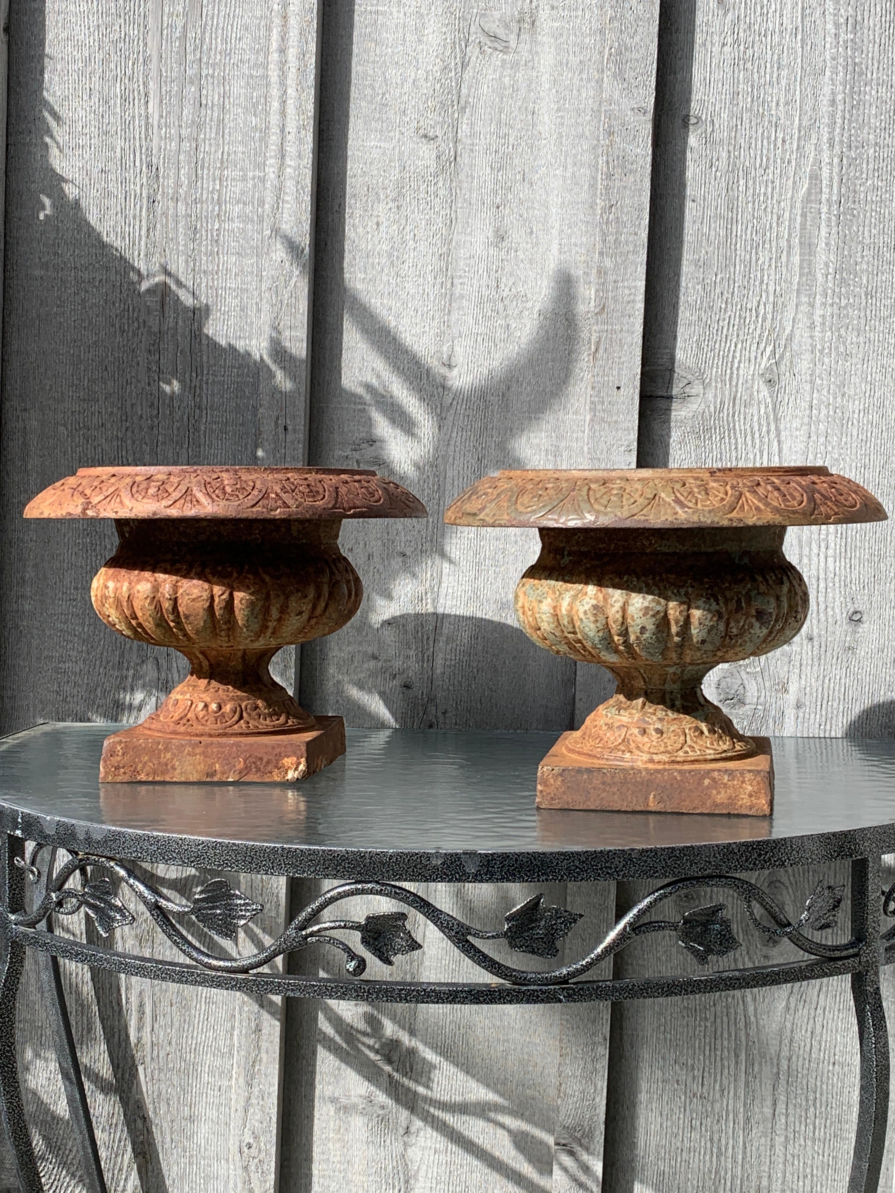 Early Pair of Small Cast Iron Pedestal Urns For Sale 1