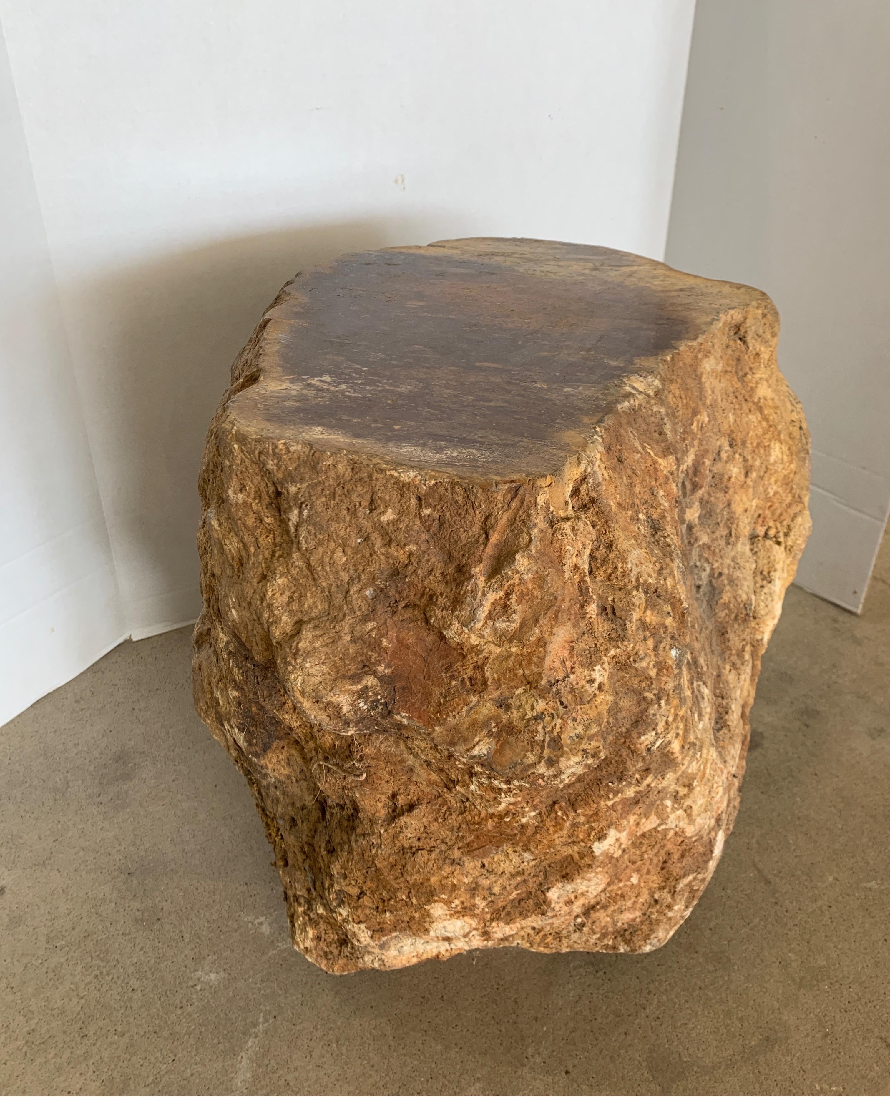 Malagasy Early Petrified Wood from Madagascar