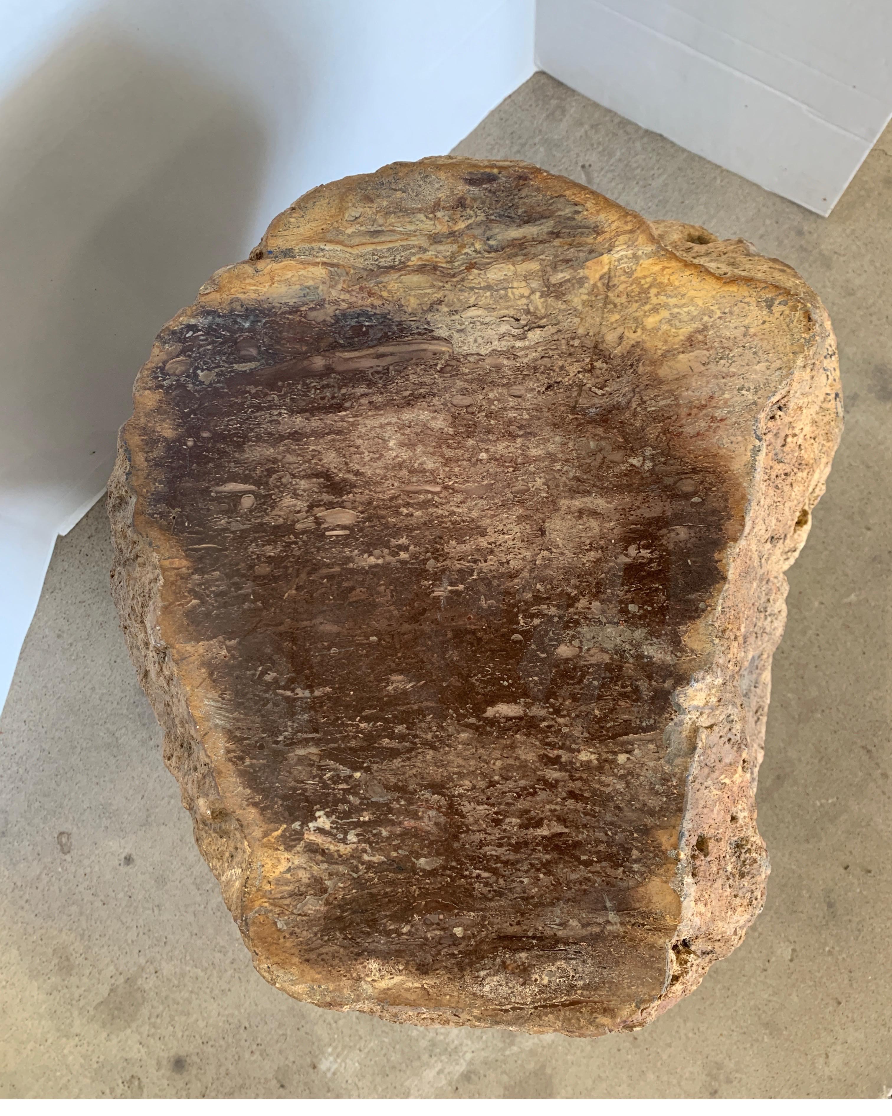 Early Petrified Wood from Madagascar In Good Condition In Houston, TX
