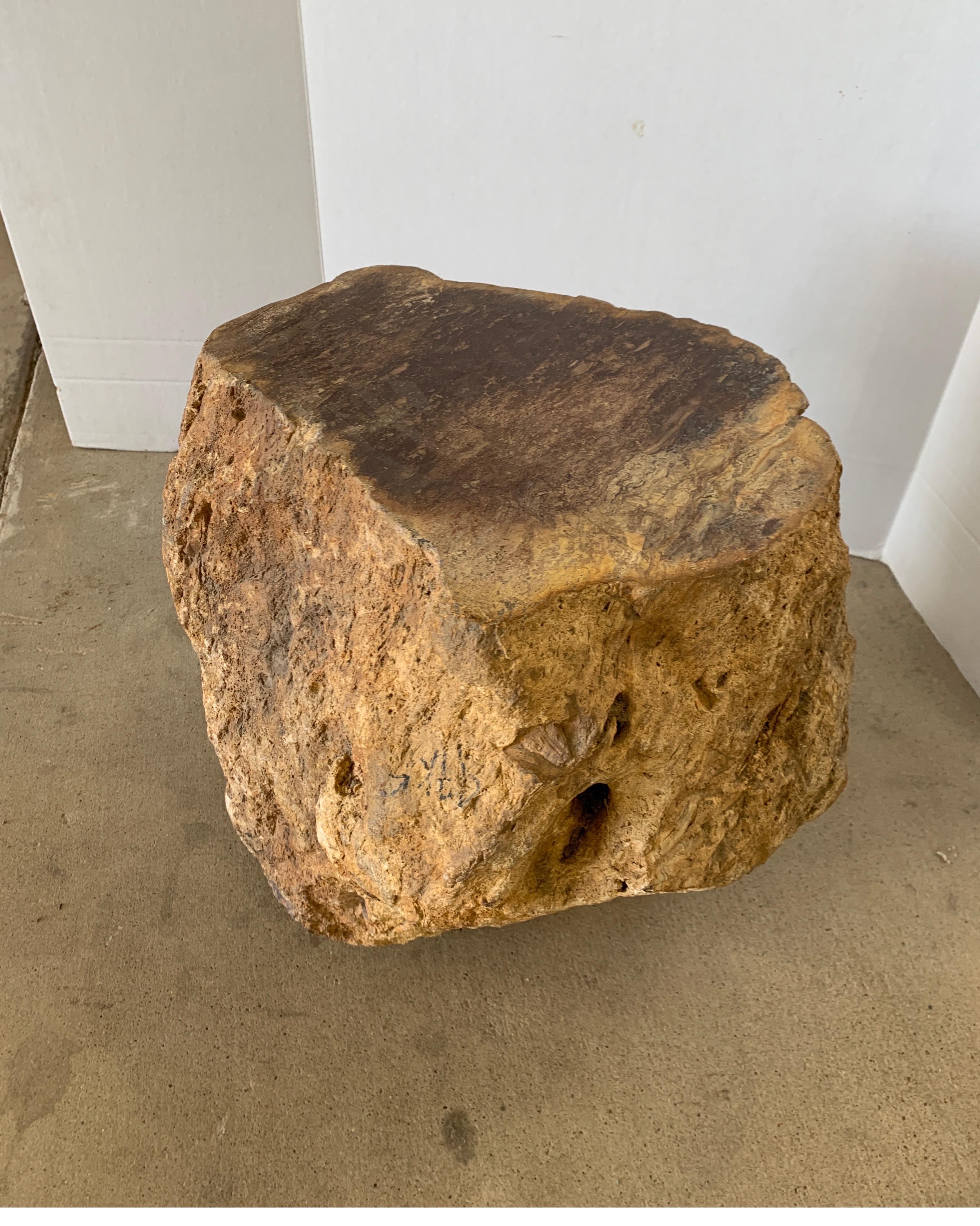 Early Petrified Wood from Madagascar 1