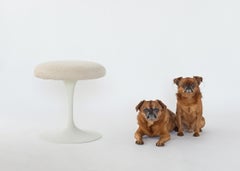Early Production Swivel Tulip Stool by Eero Saarinen