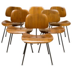 Used Early Ray and Charles Eames for Herman Miller DCM Chairs, circa 1950s