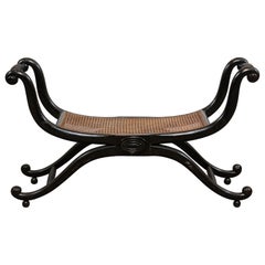 Early Regency English Ebonized and Caned Elongated Curule Stool, circa 1810