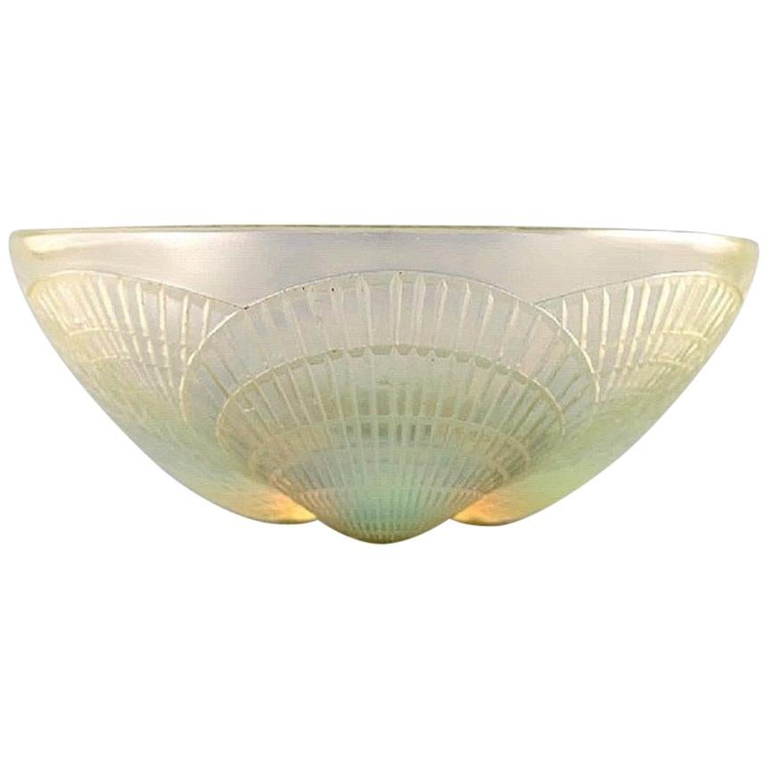 Early René Lalique "Coquilles" Bowl in Art Glass Decorated with Sea Shells