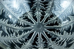 Début de René Lalique, bol à pissenlit en verre d'art transparent, années 1930-1940