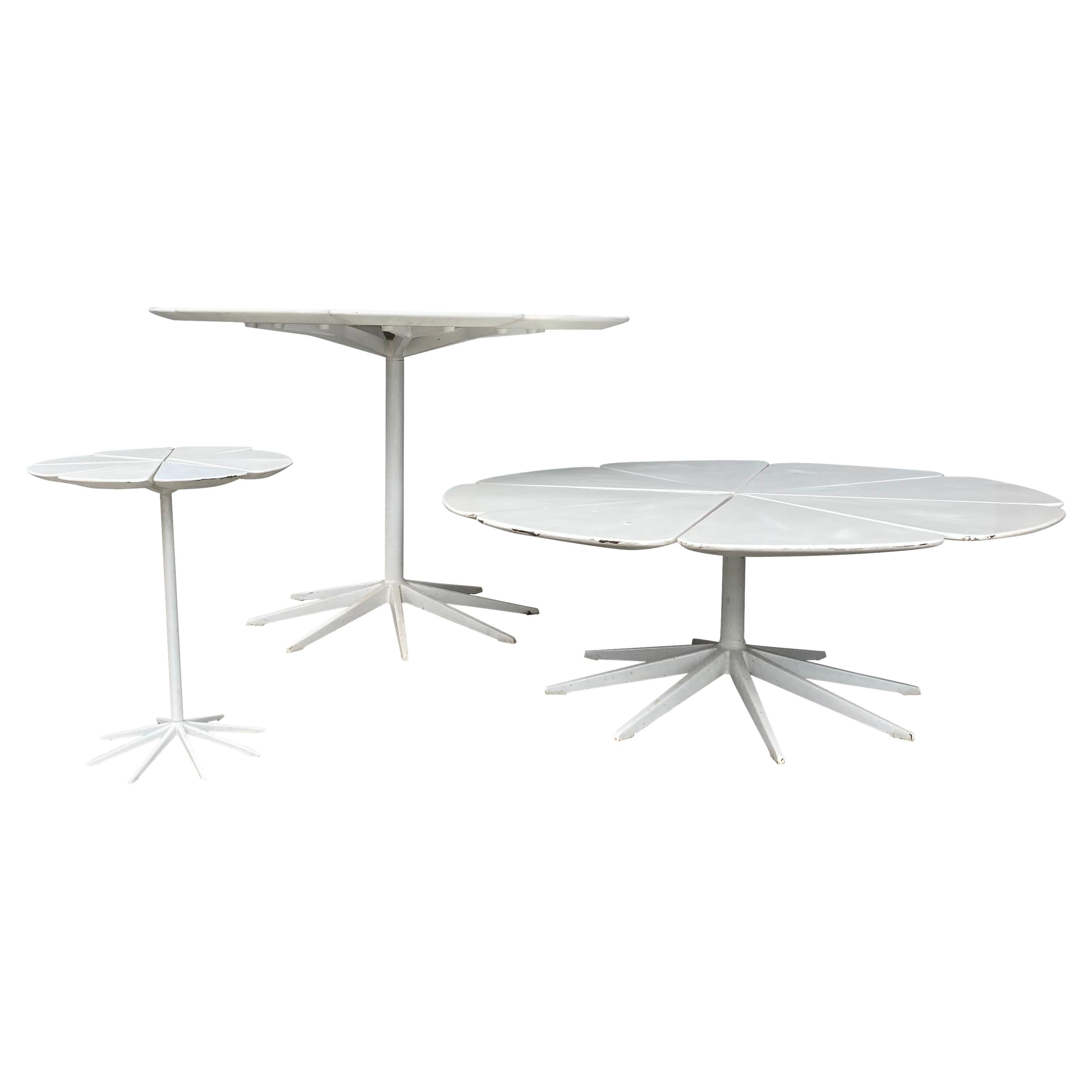 Early Richard Schultz for Knoll Petal Tables Set, Coffee, Dining & End