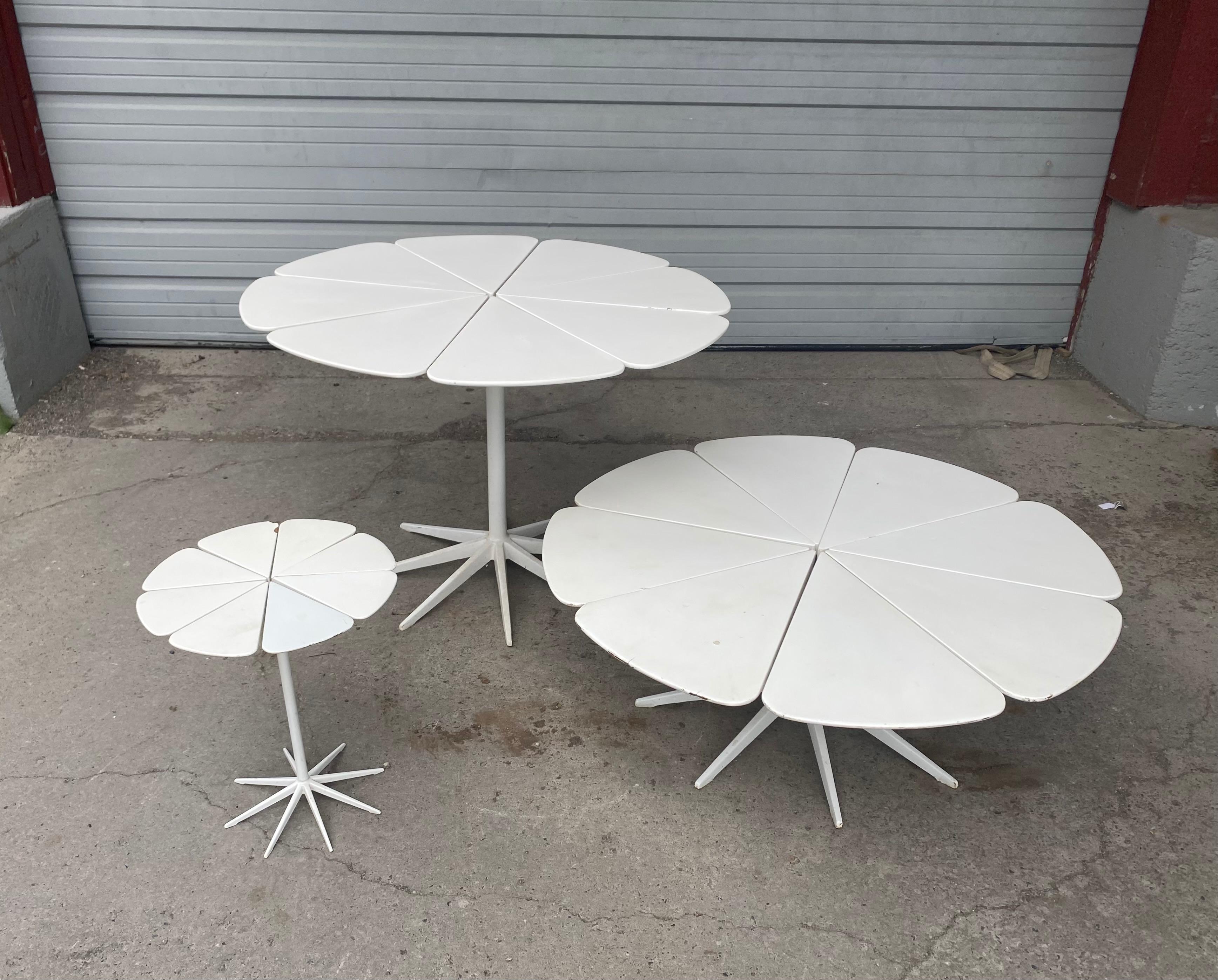 Original vintage petal cofee table, end table and dining table by Richard Schultz for Knoll. This lovely set adorns eight individual “petals” inspired by Queen Anne’s Lace. Each segment is supported by its own branch, which stems from the original