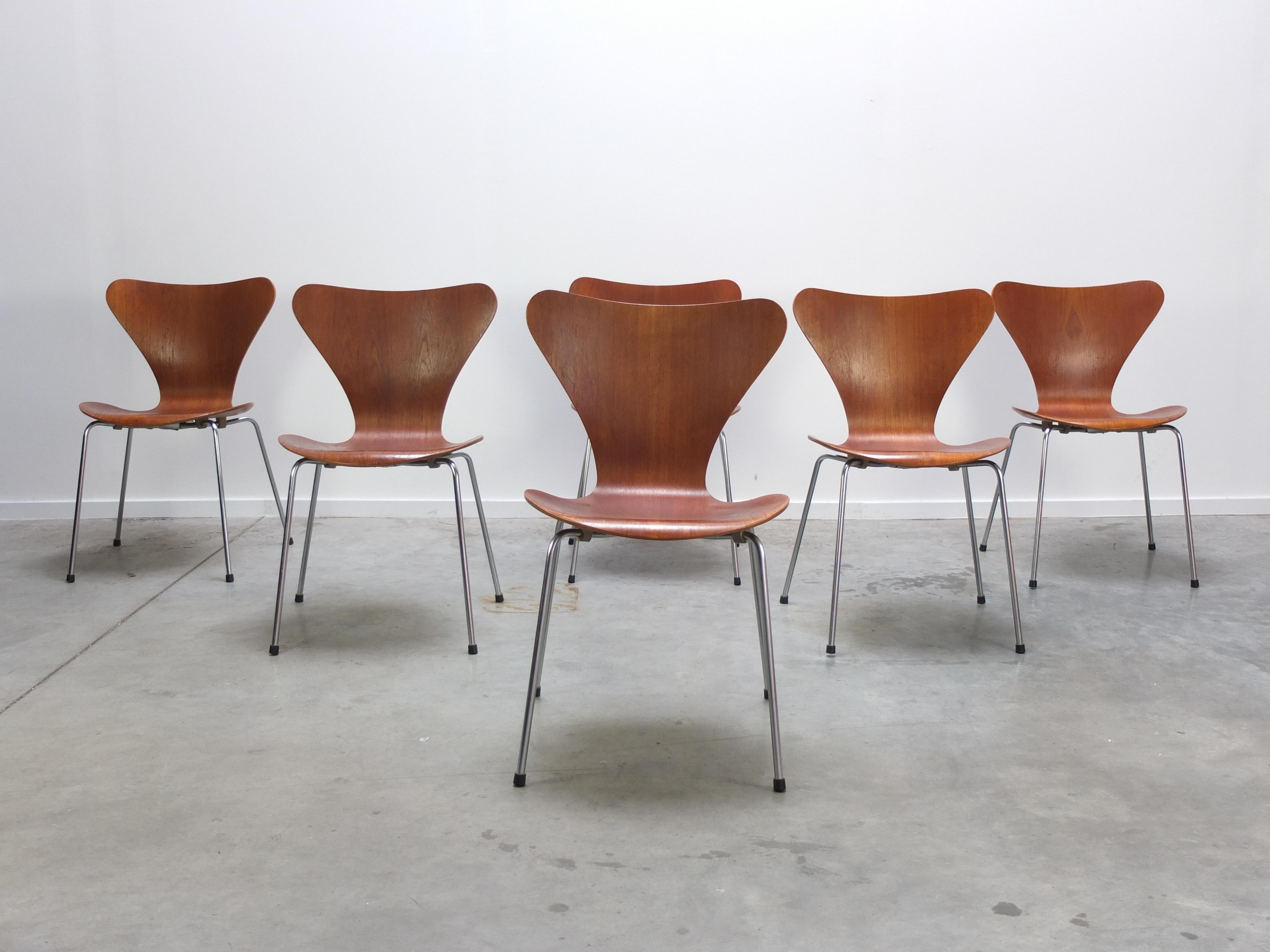 Great set of 6 ‘Series 7’ dining chairs designed by Arne Jacobsen in 1955. These examples are made of beautiful teak wood and are not in production anymore. All chairs are in good condition with solid back supports and only small traces of use. Very