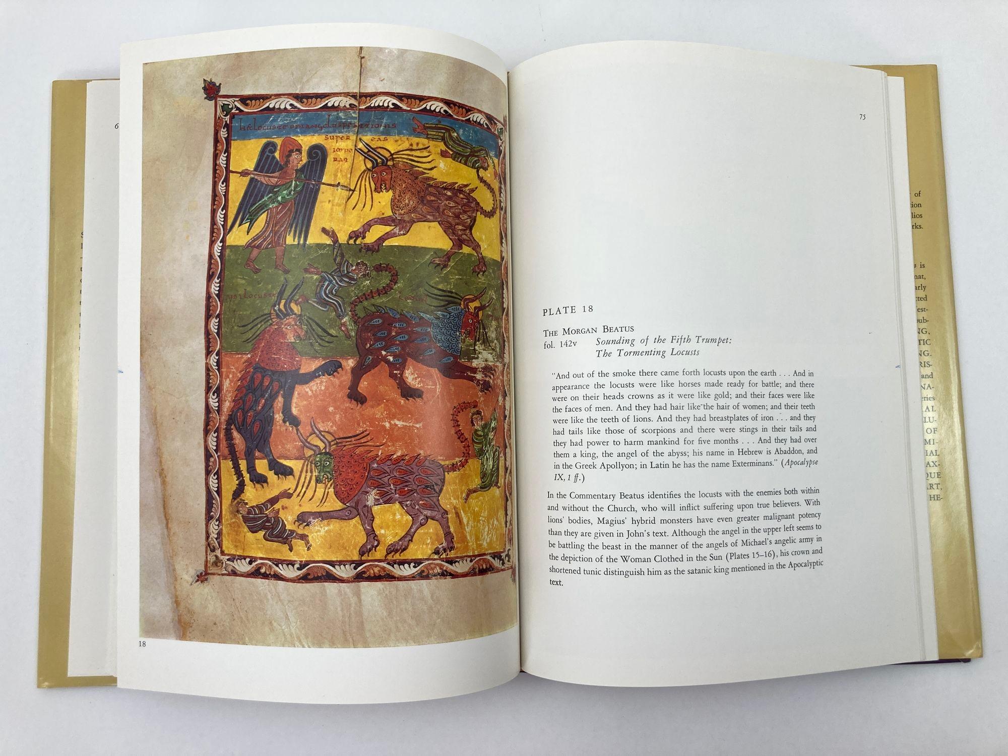 Early Spanish Manuscripts Illumination Paperback - January 1, 1977 in vendita 2