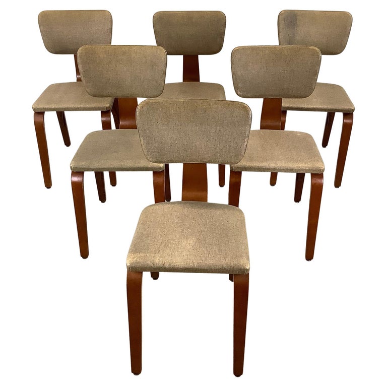 Early Bentwood Dining Chairs, Set of Six For Sale at 1stDibs