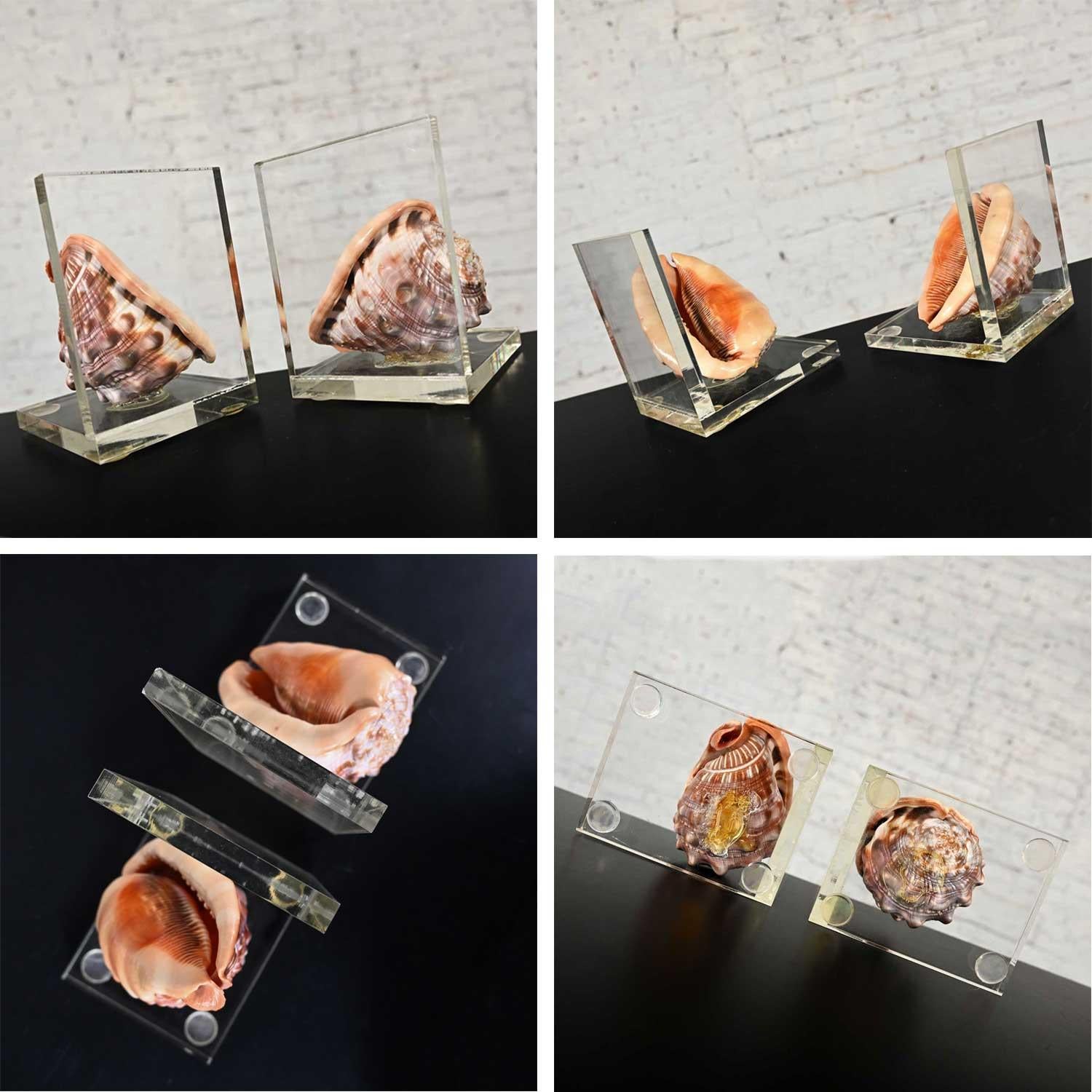 Early to Mid-20th Century Art Deco Conch Shell and Lucite Bookends 14