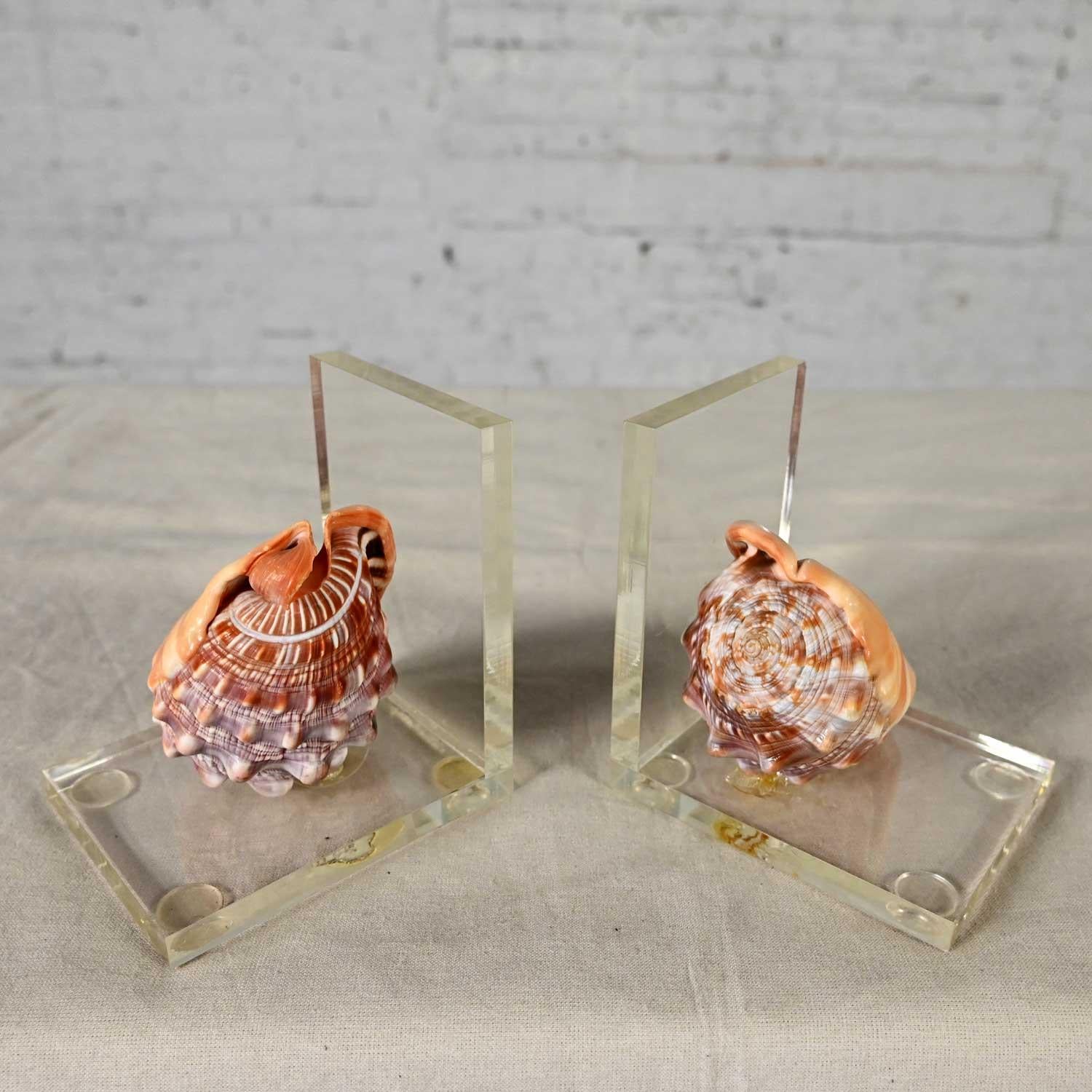 Unknown Early to Mid-20th Century Art Deco Conch Shell and Lucite Bookends