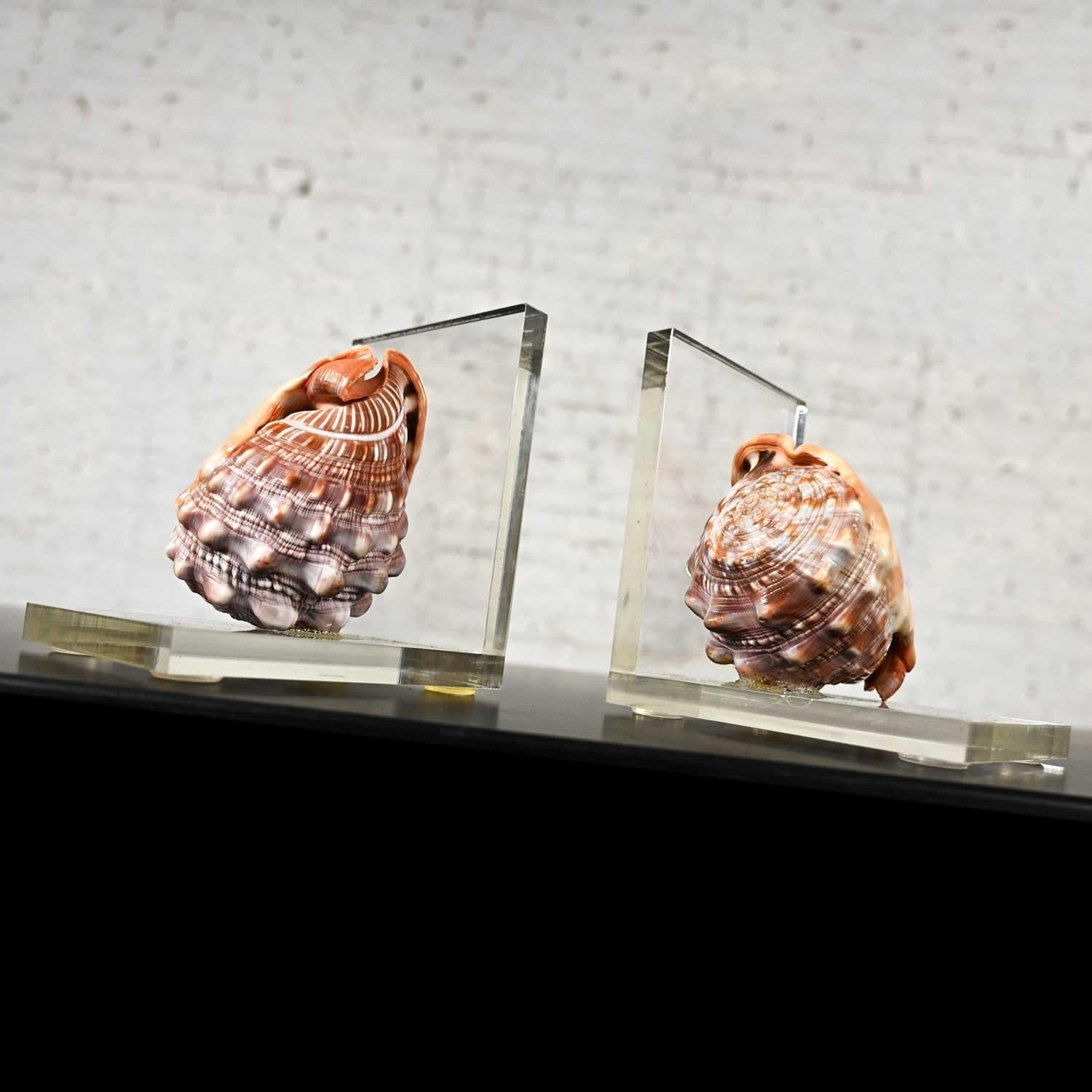 Early to Mid-20th Century Art Deco Conch Shell and Lucite Bookends 1