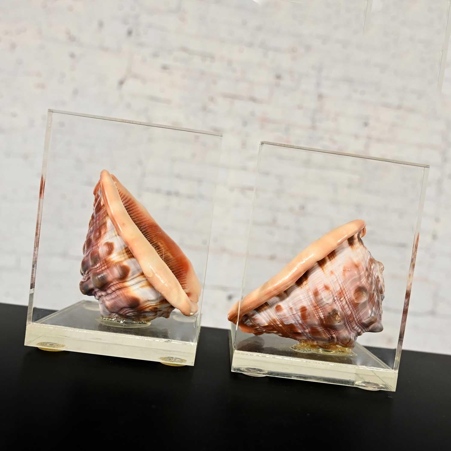 Early to Mid-20th Century Art Deco Conch Shell and Lucite Bookends 3