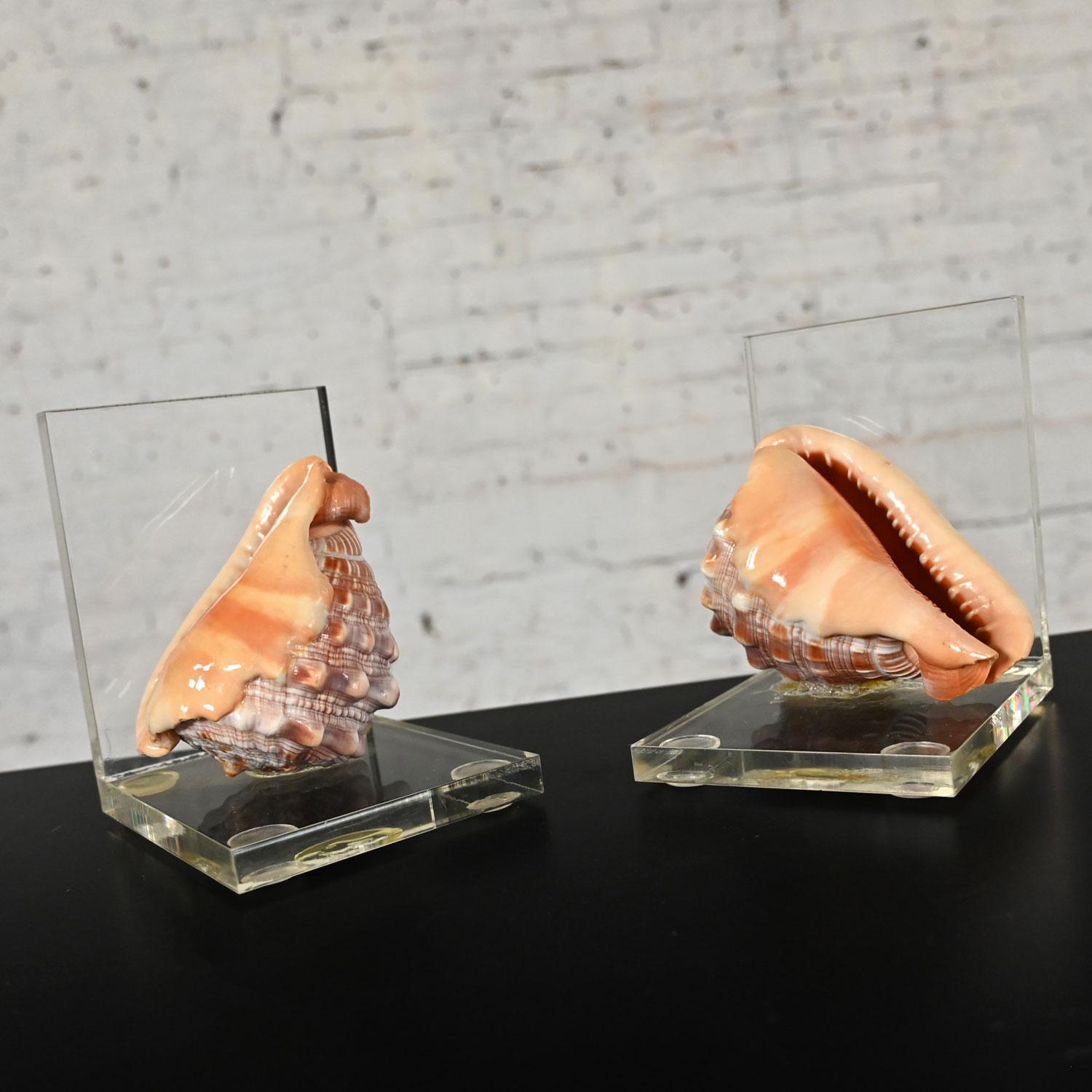 Early to Mid-20th Century Art Deco Conch Shell and Lucite Bookends 5