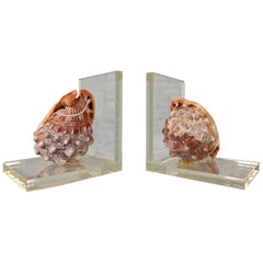 Early to Mid-20th Century Art Deco Conch Shell and Lucite Bookends