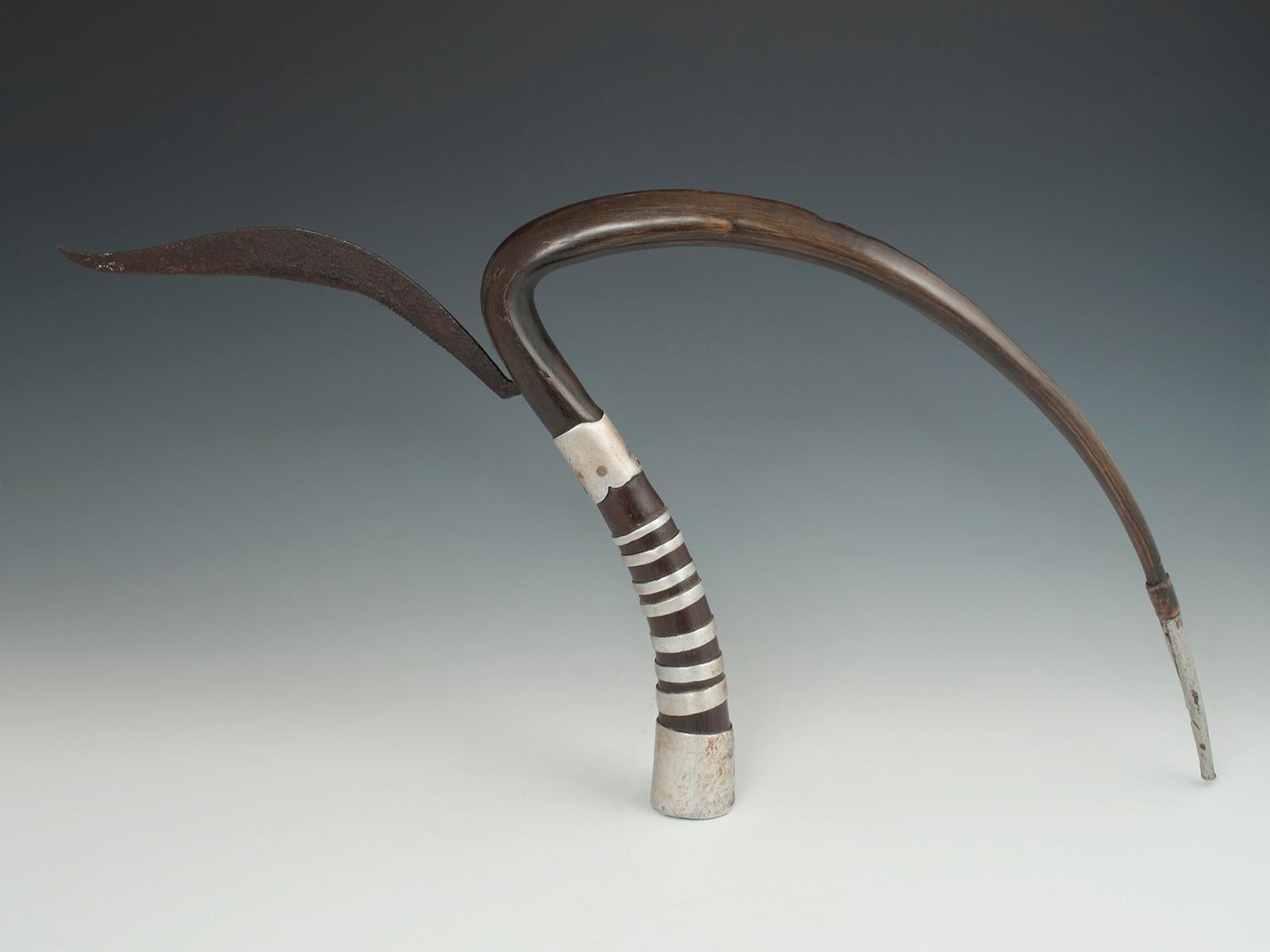 Early to mid-20th century tribal horn rice cutter, Khymer Culture, Cambodia.

The gracefully curved part of the ox horn was used to gather a handful of rice plants and then with a skillful turn of the wrist, the sheaf was cut with the iron blade.