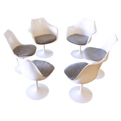 Primeras sillas Tulip de Eero Saarinen para Knoll Juego de 6 sillas Tulip de los años 60