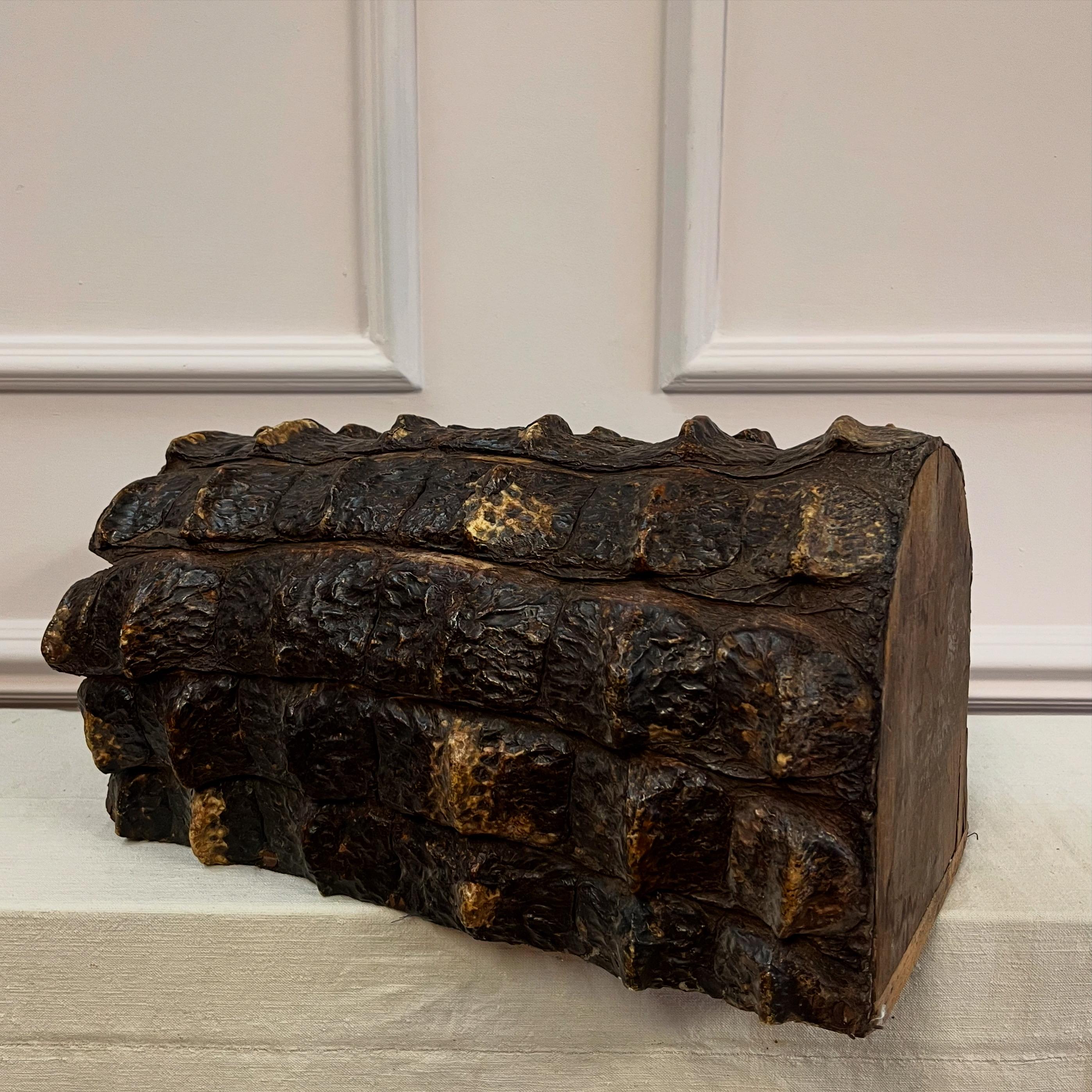 20th Century Early Twentieth Century Alligator Stick / Umbrella Stand For Sale