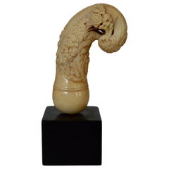 Frühviktorianischer geschnitzter Knochenschilfrohrgriff auf Ebenholzsockel