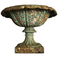 Early Victorian Cast Iron Urn