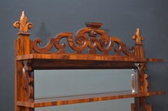 Early Victorian Goncalo Alves Chiffonier