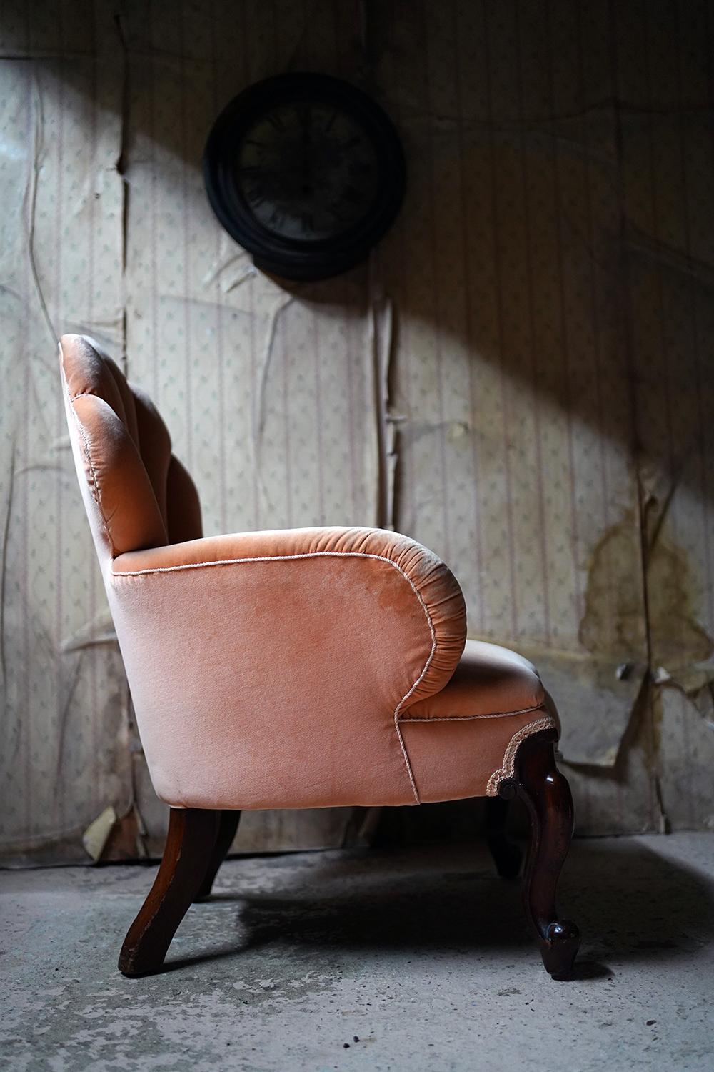 Early Victorian Mahogany & Peach Velvet Upholstered Shell Backed Chair c.1840 1