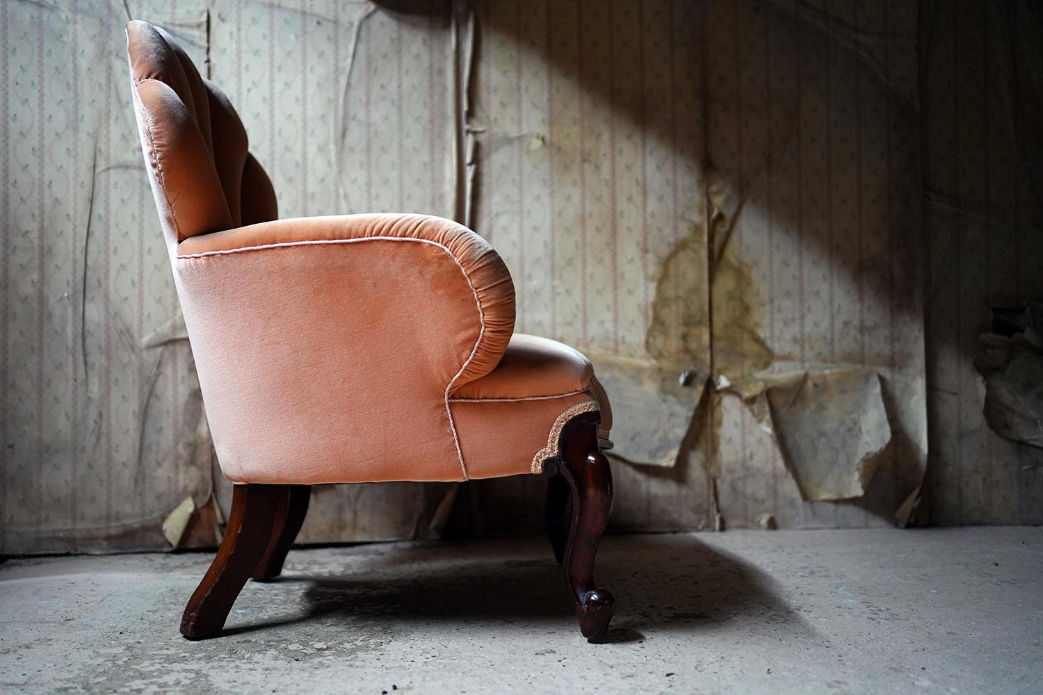 Early Victorian Mahogany & Peach Velvet Upholstered Shell Backed Chair c.1840 2