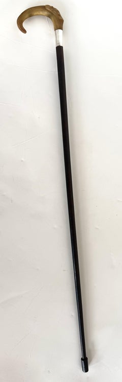 Early Victorian Ram's Horn Handle Walking Stick w/ Sterling Silver Collar C 1850